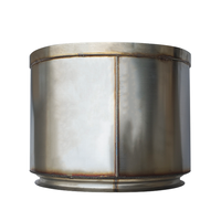   Filtro Antiparticolato Diesel Cascadia DDEEA0024908392/DDEEA0074908214