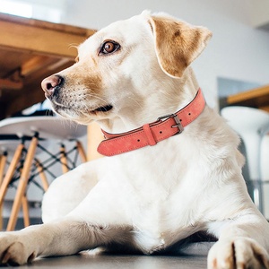 <span class=keywords><strong>Collar</strong></span> ajustable de cuero suave para mascotas para perros y gatos - Product Image 6