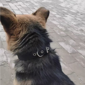 कुत्ते के हार पालतू चोकर नरम फोम के साथ नायलॉन सामग्री से बना एक नरम फोम - Product Image 6