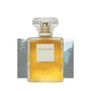 ODM Classic Woody Parfum Perfume personalizado Eau De Toilette para mantener un buen aseo