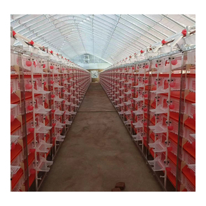 Phong Cách Mới Kinh Doanh H Loại 6 Tầng Nhựa Chim Cút Thương Mại Lồng/Chim Cút Lồng Thiết Bị Cho Nga Chim Cút Trang Trại - Product Image 6