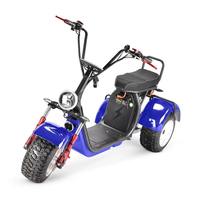 Motocicleta Triciclo 2026 con Neumáticos Gruesos de 13 Pulgadas, COC 45 km/h, 4000 W, Citycoco, Scooter Eléctrico de Tres Ruedas