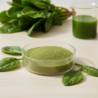 Poudre de jus de spaghettis verts de qualité alimentaire, complément alimentaire 100 % soluble dans l'eau, usine avec 14 ans d'expérience, 10:1, soluble dans l'eau, compléments alimentaires