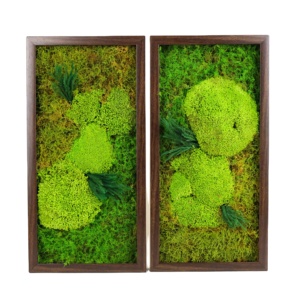 보존 된 꽃 공급 업체 이끼 장식 보존 된 이끼 벽 예술 나무 사진 프레임 이끼 벽 장식 프레임 - Product Image 1