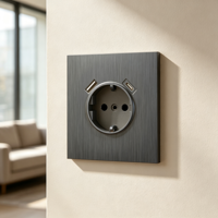 Prise murale 16A 1 Gang avec charge rapide USB-A et Type-C, Gris brossé, Type F, Vente en gros