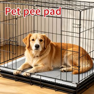 Tapis d'apprentissage pour animaux de compagnie avec attractant intégré, super absorbants, jetables, pour chiots, contrôle des odeurs, faible MOQ - Product Image 5