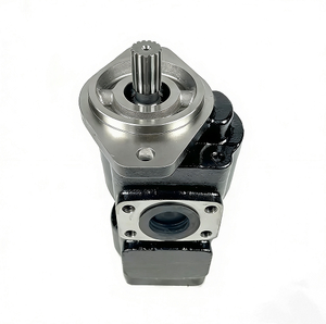 Nouvelle série de pompes hydrauliques 332/F9030 avec arbre à clavettes 20/912800 et 7029122001, et noyaux de pompe simples 20/925580 et 7029120048 Adva - Product Image 3