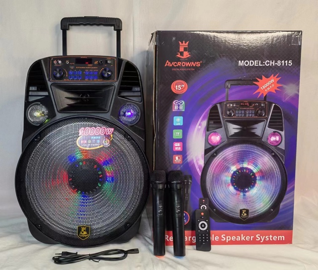 15 Inch Portable Outdoor Sound System with Rechargeable Karaoke Trolley Speaker  Have Microphone