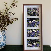 Cadre flottant en verre et bois pour fleurs pressées, créatif, DIY, en MDF, pour échantillons, vente en gros, dropshipping