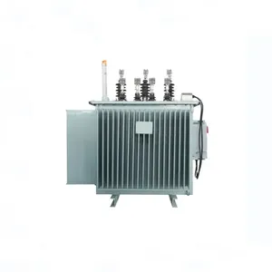 Transformador de Distribución de Energía Eléctrica Trifásico Compacto de Baja Capacidad, Tipo Sumergido en Aceite - Product Image 6
