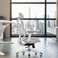 Chaise de bureau contemporaine ergonomique en maille avec support lombaire, cadre en alliage d'aluminium, dossier haut réglable, pivotante et roulante