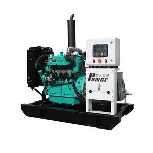 Generator Gas Alam, dari 16KW Sampai 250kw Sertifikat CE dengan CHP untuk Harga Terbaik