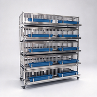 Cage à cailles automatique pour la collecte des œufs, équipement avicole à 5 niveaux, cages en batterie pour l'élevage des cailles et des petits oiseaux