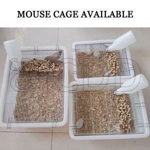 Çin Fabrikası Satışı Plastik PP/PC Malzemeden Fare Yetiştirme Kafesleri Evleri Taşıyıcı Basit Klasik İç Mekan Kullanımı - Product Image 3