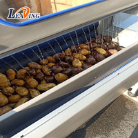 Machine à éplucher automatique, pomme de terre, légumes, ail, nettoyage, lavage