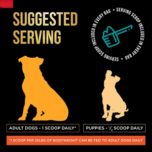 Suplementos Herbales <span class=keywords><strong>para</strong></span> Articulaciones y Huesos <span class=keywords><strong>de</strong></span> <span class=keywords><strong>Mascotas</strong></span> Directo <span class=keywords><strong>de</strong></span> Fábrica, OEM Personalizado, Venta al por Mayor, Pedidos al por Mayor en Contenedores Completos Listos <span class=keywords><strong>para</strong></span> Envío - Product Image 5