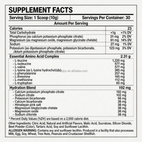 Poudre d'acides aminés EAA et BCAA, électrolytes, créatine, supplément nutritionnel sportif pour soutenir la croissance musculaire et l'endurance des femmes et des hommes