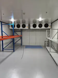 Proyecto de contenedor de congelador de cámara frigorífica grande personalizado, sala frigorífica Blaster, sala de congelador