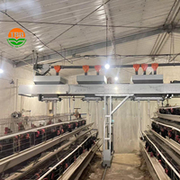 Poulailler pour poules pondeuses Cage pour 500 poulets en Tanzanie