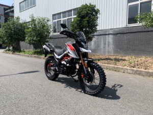Motocyclettes chinoises FUEGO <span class=keywords><strong>TEKKEN</strong></span> <span class=keywords><strong>2</strong></span> Eec Motocyclette pas chère à vendre <span class=keywords><strong>TEKKEN</strong></span> II 22110105 - Product Image 6