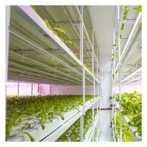 Fábrica de verduras Cultivo hidropónico multicapa interior Agricultura inteligente