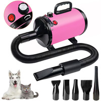 Sèche-cheveux professionnel puissant et écologique pour animaux de compagnie, souffleur d'eau pour chiens, vent chaud, séchage rapide, rechargeable, pour toilettage des animaux