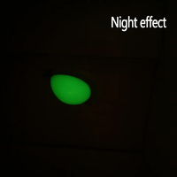 Haute qualité 20g-100g PP lumineux Type d'oeuf solide longue Distance coulée pêche de nuit Bobber flotteur flottant vers le haut