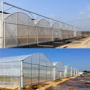 Sistema de Refrigeración con Malla para Insectos, Invernadero Agrícola de Película de PE, Túnel de Cultivo de Múltiples Tramos con <span class=keywords><strong>Precio</strong></span> Reducido - Product Image 6
