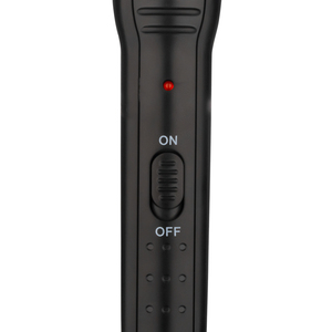 RAF Wholesale 55W Hair Beauty Fast <b>Heating</b> Straightener <b>Brush</b> Portable Ionic Anion Platinum Hair Straightener RAF Whole - Product Image 2