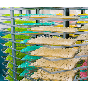 High-Capacity Gummy Production Line for Producing Vitamin Gummies with High Nutrient Density for Supplements - Product Image 5