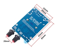Carte d'amplification de subwoofer TPA3116D2, amplificateur audio numérique mono DC 12-24V, carte d'amplification de puissance pour l'audio domestique, les haut-parleurs de voiture, le bricolage