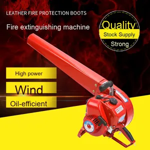 เครื่องเป่าหิมะเบนซิน 220V พร้อมตัวเก็บฝุ่นสำหรับการจัดการไฟป่า - ชิ้นส่วนมอเตอร์หลัก - Product Image 2