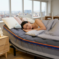 Sommier de lit électrique pliable moderne et personnalisable, gain de place, antidérapant, fonctionnement silencieux pour les loisirs en famille et les soins.