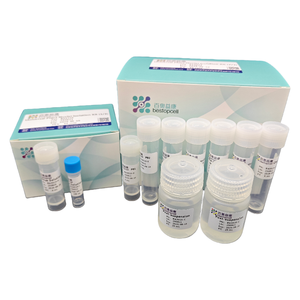 Universele Isolatiekit Voor Plantenkernen (10 <span class=keywords><strong>Test</strong></span>) Voor Onderzoek Iso 9001 Ba3319 - Product Image 5