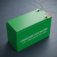 Paket Baterai Lifepo4 Deep Cycle 12.8V 8Ah untuk UPS Kecil, Lampu Jalan Tenaga Surya, Penyimpanan Energi Cadangan, Baterai Lithium Iron Phosphate