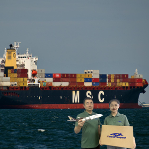 DDP доставка <span class=keywords><strong>DHL</strong></span> морское судно грузовые морские грузовые тарифы Канада Китай в США Франция Индия море FBA DDP - Product Image 6