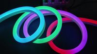 Lampu Strip LED Fleksibel Neon RGB 5050 IP67 PVC Silikon 12V/24V Panjang 10m Putih Hangat dengan Pengontrol Kontrol Suara 12mm
