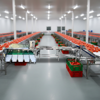 Tomaten- en groentesorteermachine