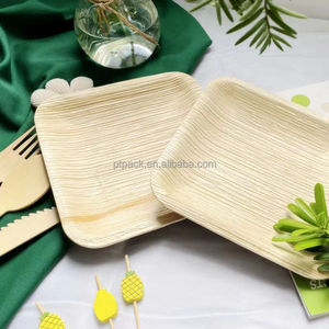 Assiettes jetables en feuilles de <span class=keywords><strong>palmier</strong></span> compostables PTPACK, rondes/carrées, pour fêtes - Product Image 3