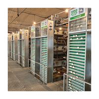 Cage à poules pondeuses professionnelle chinoise, de type H, nouvelle, moderne, de grande capacité, à 4 niveaux et 5 étages, entièrement automatique