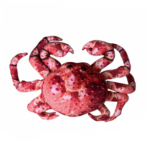 Tùy Chỉnh Thực Tế Hoàng Đế Dừa Cua Đồ Chơi Sang Trọng-Siêu Mềm Sang Trọng Căng Thẳng Cứu Trợ Vàng Dập Bữa Tiệc Sinh Nhật Thú Nhồi Bông - Product Image 2