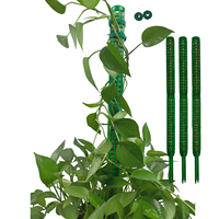 Poteaux en plastique durables pour plantes, petit poteau en mousse pour plantes d'intérieur sphaigne, plante grimpante, plantes d'argent