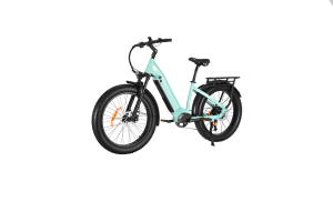 Moteur de moyeu arrière pour vélo électrique à pneus larges avec cadre bas et pneus de 26 pouces - Product Image 2