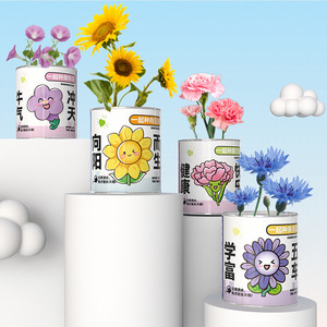 Boîte Mystère Végétale : Cadeau pour Enfants, Fleurs en Pot d'Intérieur Faciles d'Entretien, Plantes de Bureau Écologiques, Idéal pour la Fête des Enfants - Product Image 3