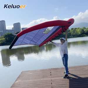 Double airbag léger et facile à plier SUP Board Skating Wing Inflatable Windsurf <span class=keywords><strong>Wind</strong></span> Wing - Product Image 4