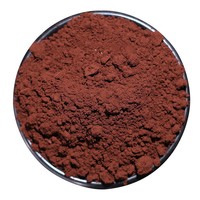 Poudre de spores de Ganoderma Lucidum de la montagne de Changbai, 250g, première pression, qualité supérieure, authentique, qualité alimentaire, réfrigérée