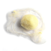 Filet à cheveux en nylon jetable lignes élastiques douces filets à perruque à grandes mailles tissage filets à cheveux dansants invisibles pour emballage de perruque style chignon à cheveux