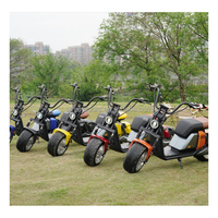 Citycoco Scooter, Smarda, EEC, Coc, Road Legal, 2000 W