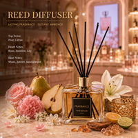 Diffuseur d'huiles parfumées inspirées, vente en gros, huile de parfum de luxe de créateur, pure et concentrée, parfum longue durée, huile pure