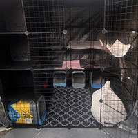 Cage de transport pliable de luxe classique pour chat et frette, avec cadre en acier inoxydable, plateau en plastique, hamac offert et fermeture à ceinture